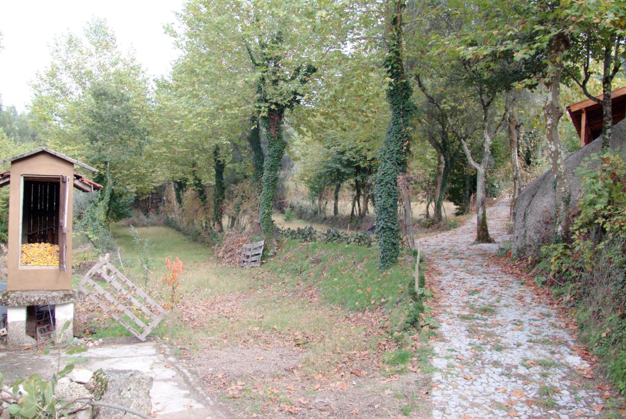 Quinta Da Veiga E Malhadoira Hostal Vieira do Minho Exterior foto