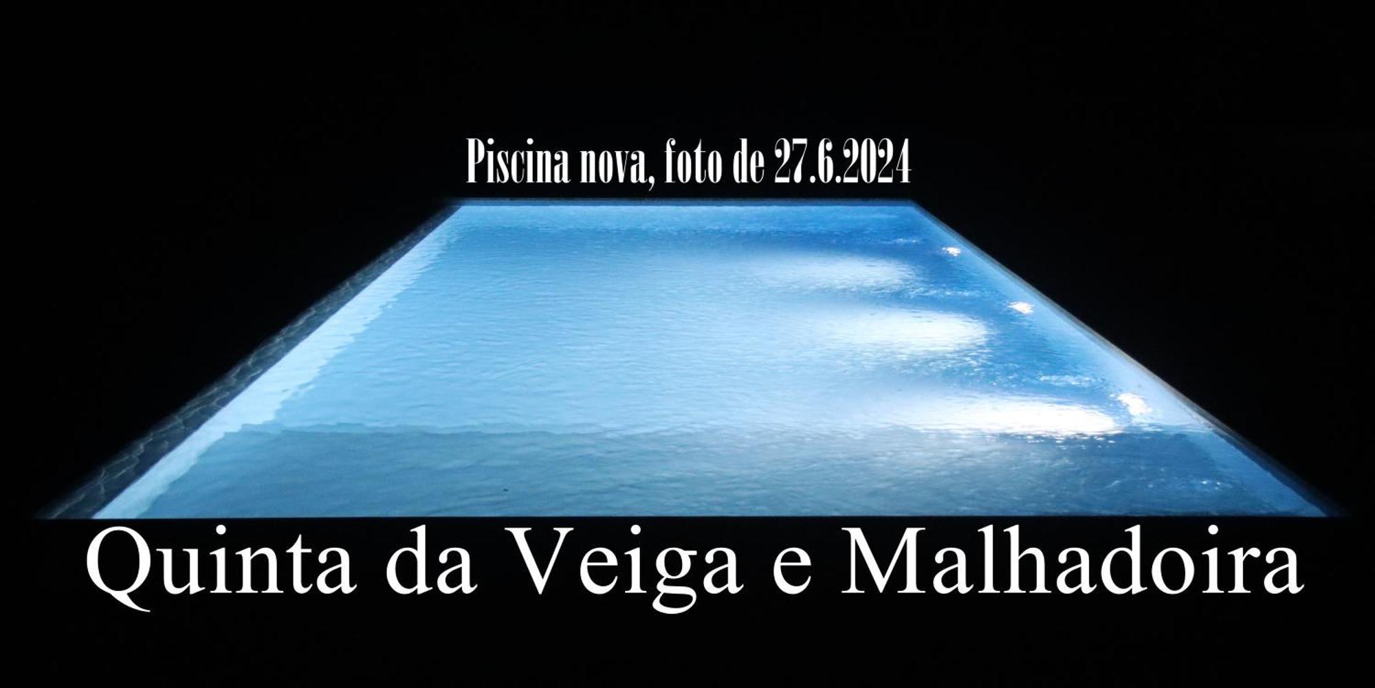 Quinta Da Veiga E Malhadoira Hostal Vieira do Minho Exterior foto